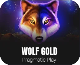 Wolf Gold Spiel